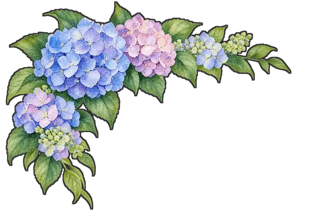 紫陽花の角飾りの枠付き版