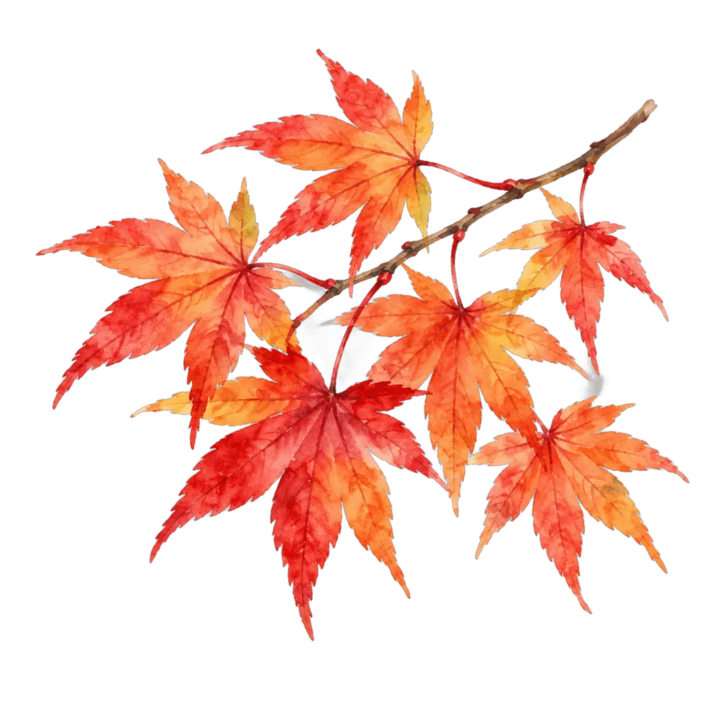 水彩の紅葉の枝。施設だより向けフリー素材