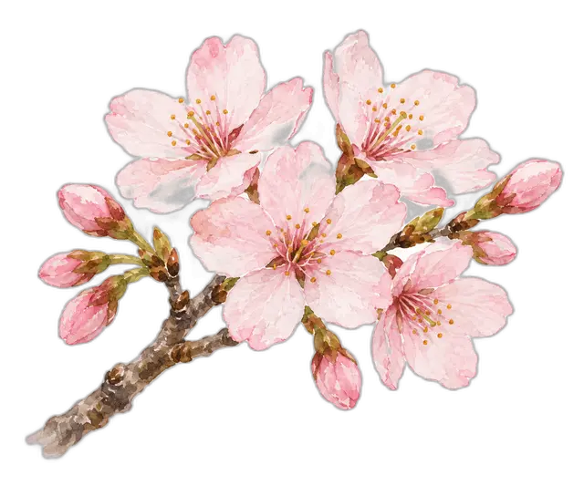 水彩の桜の枝
